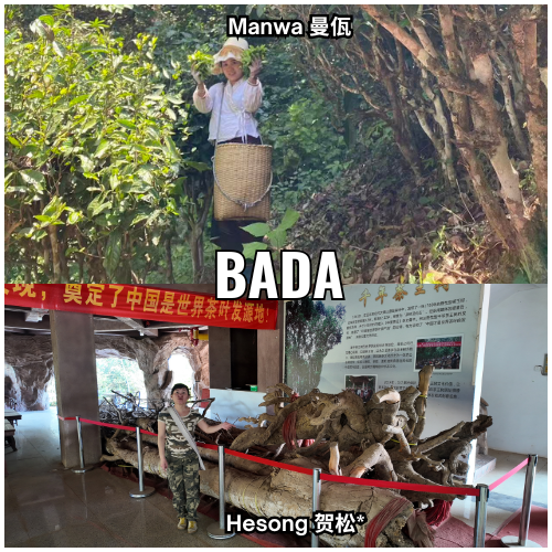 Bada - high - 2